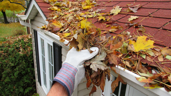 Want to Reduce Your Home Maintenance?